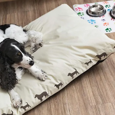 Hotel Western Park 4*