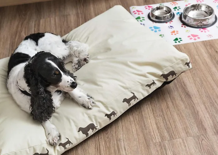 Hotel Western Park 4*